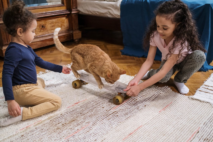 rug